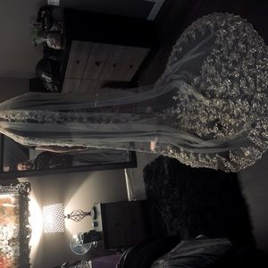 Beautiful wedding veil. Never worn, decided to wear a black dress instead.